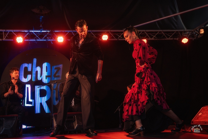 flamenco (1)